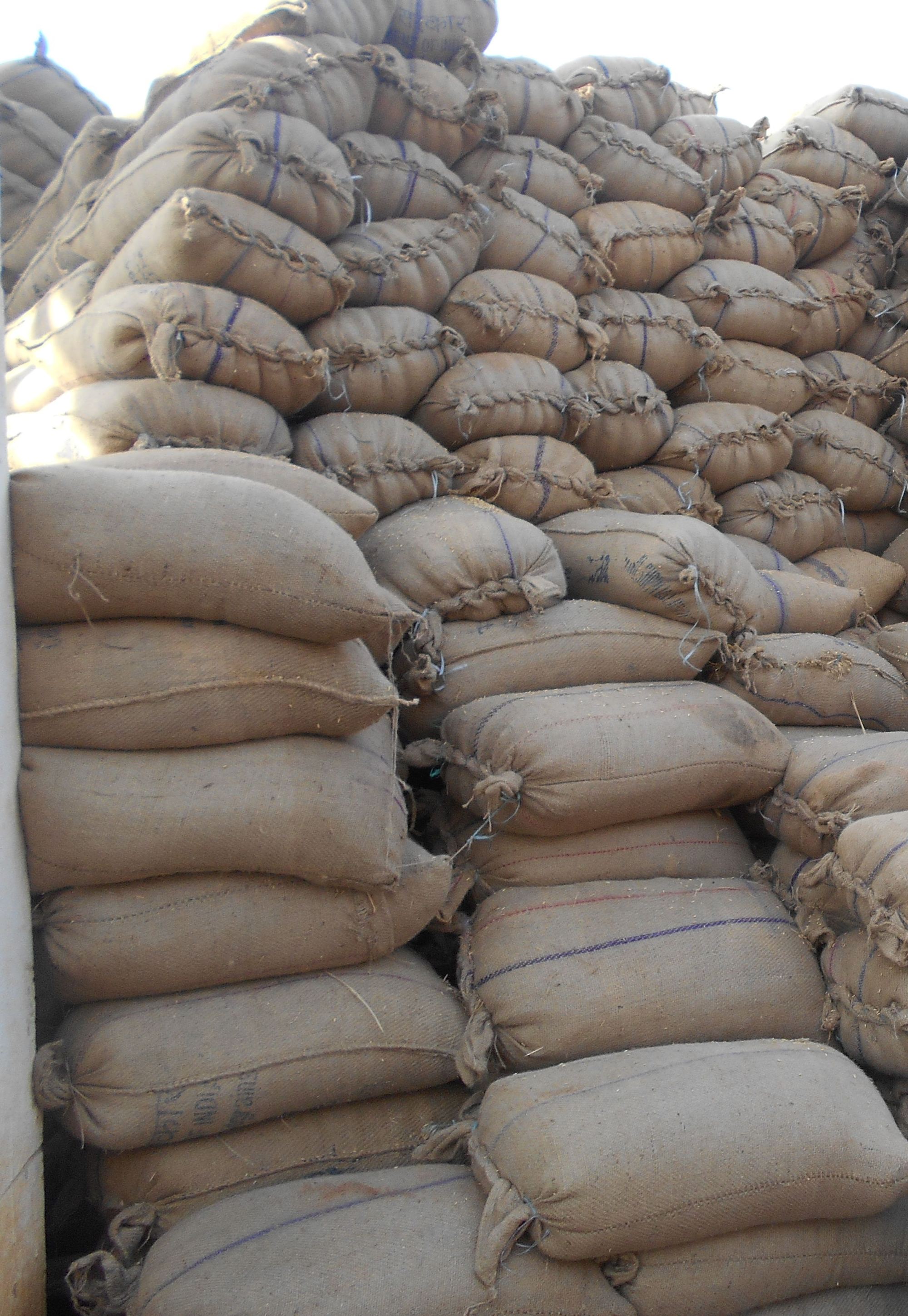 Jute sacks of rice stacked high in storage