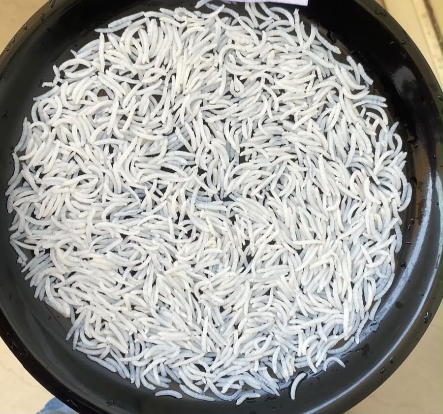 Cooked basmati grains in a pan for the cooking test