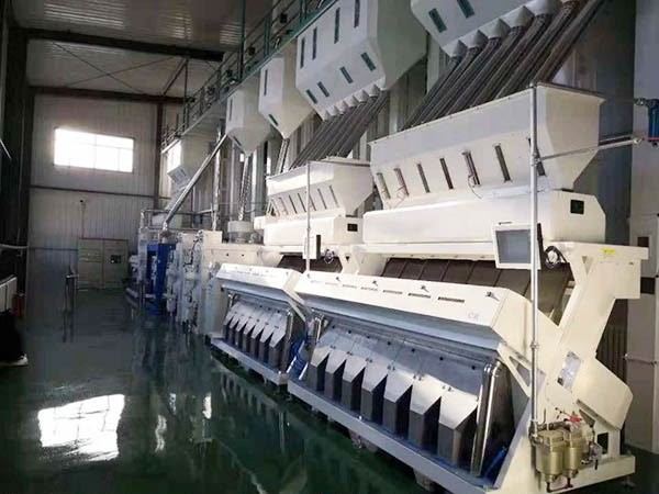 A hall of Sortex colour sorting machines