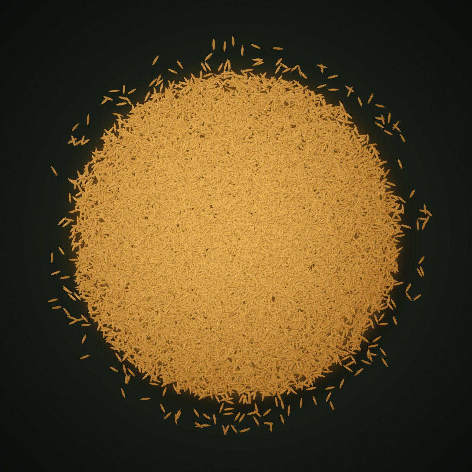 A heap of 1509 Basmati Rice grains