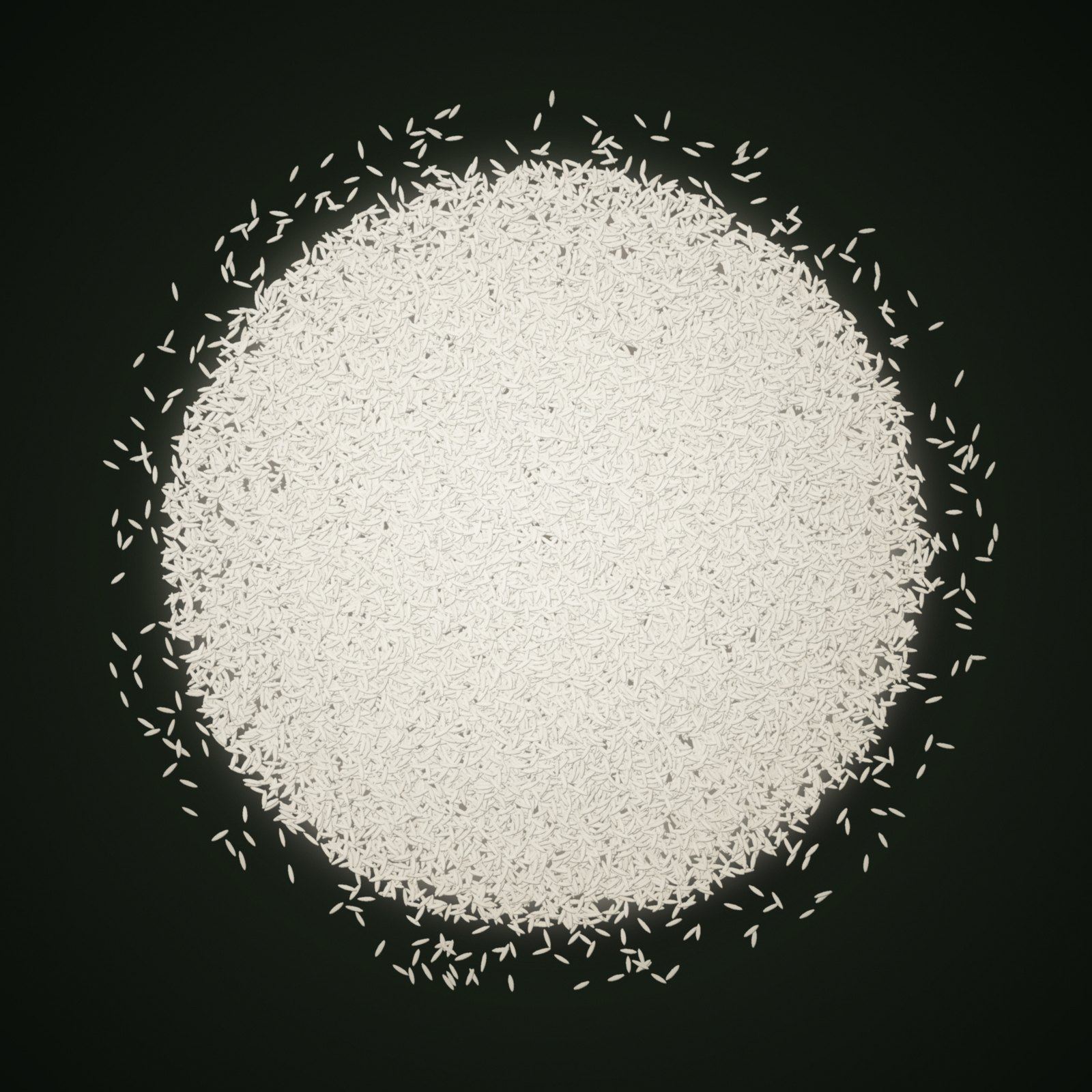 A heap of Parmal Rice grains