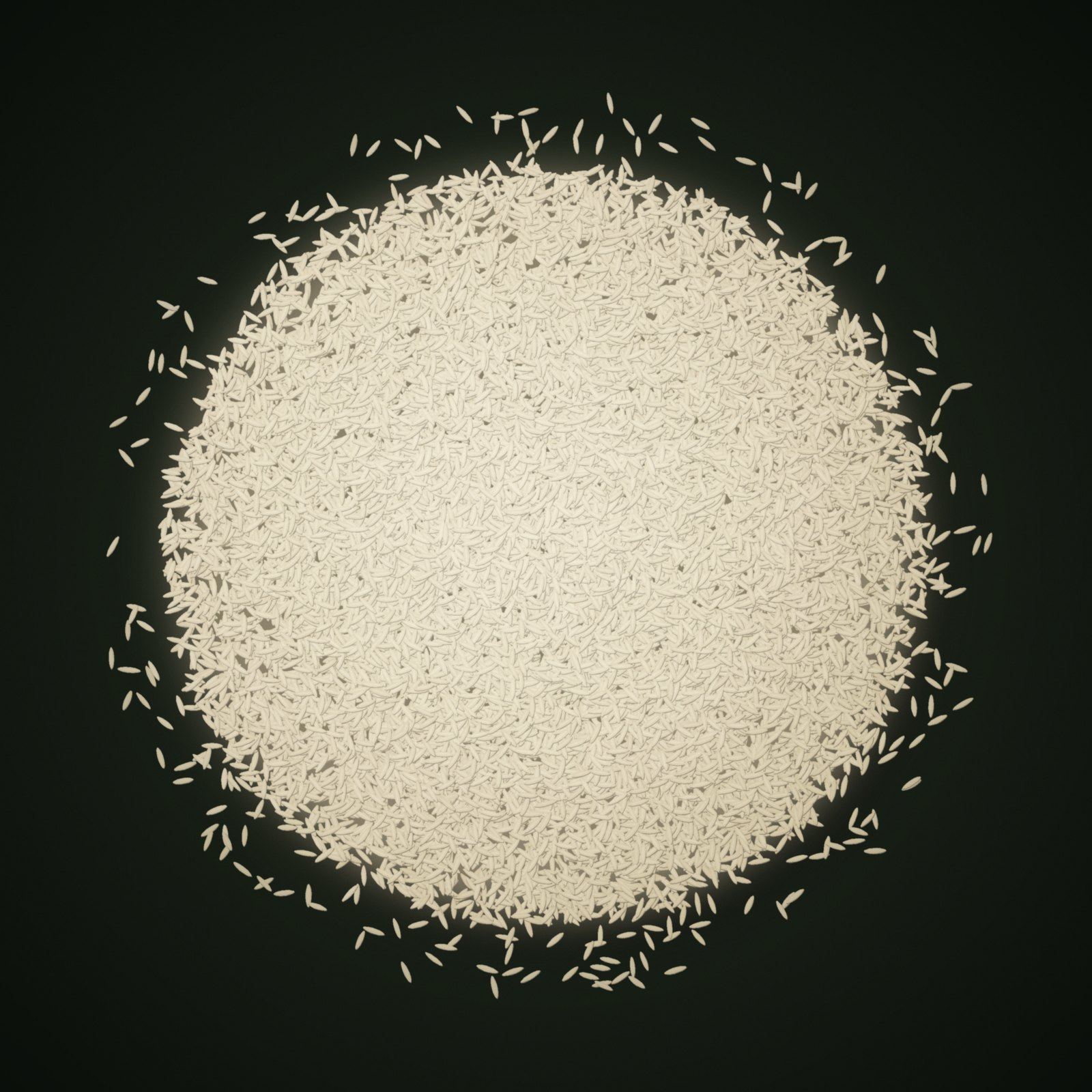 A heap of Pusa Basmati Rice grains