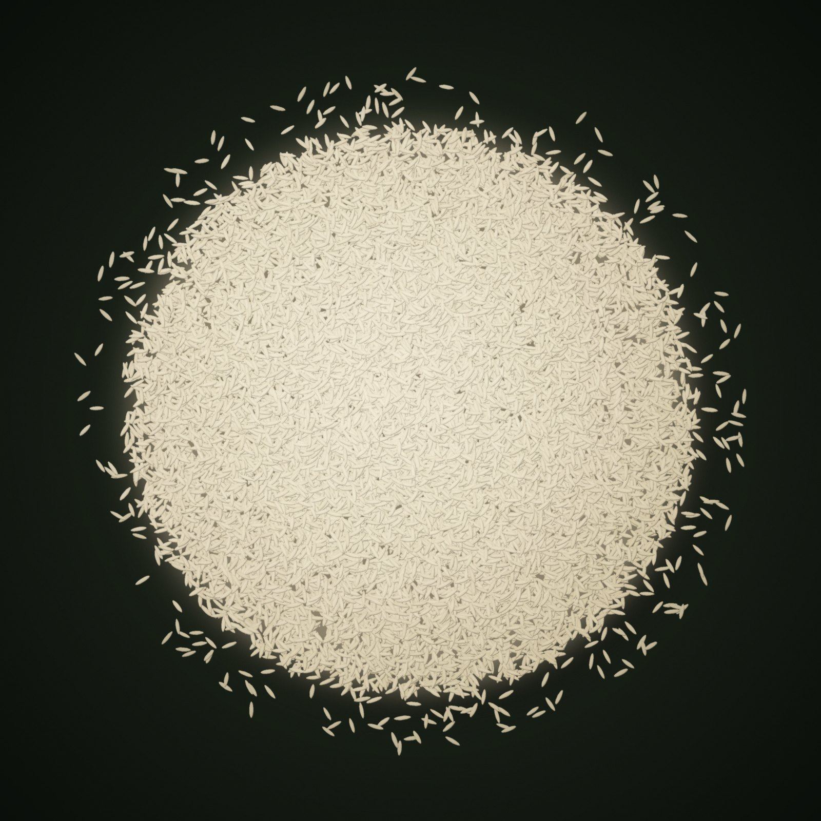 A heap of Sharbati Rice grains