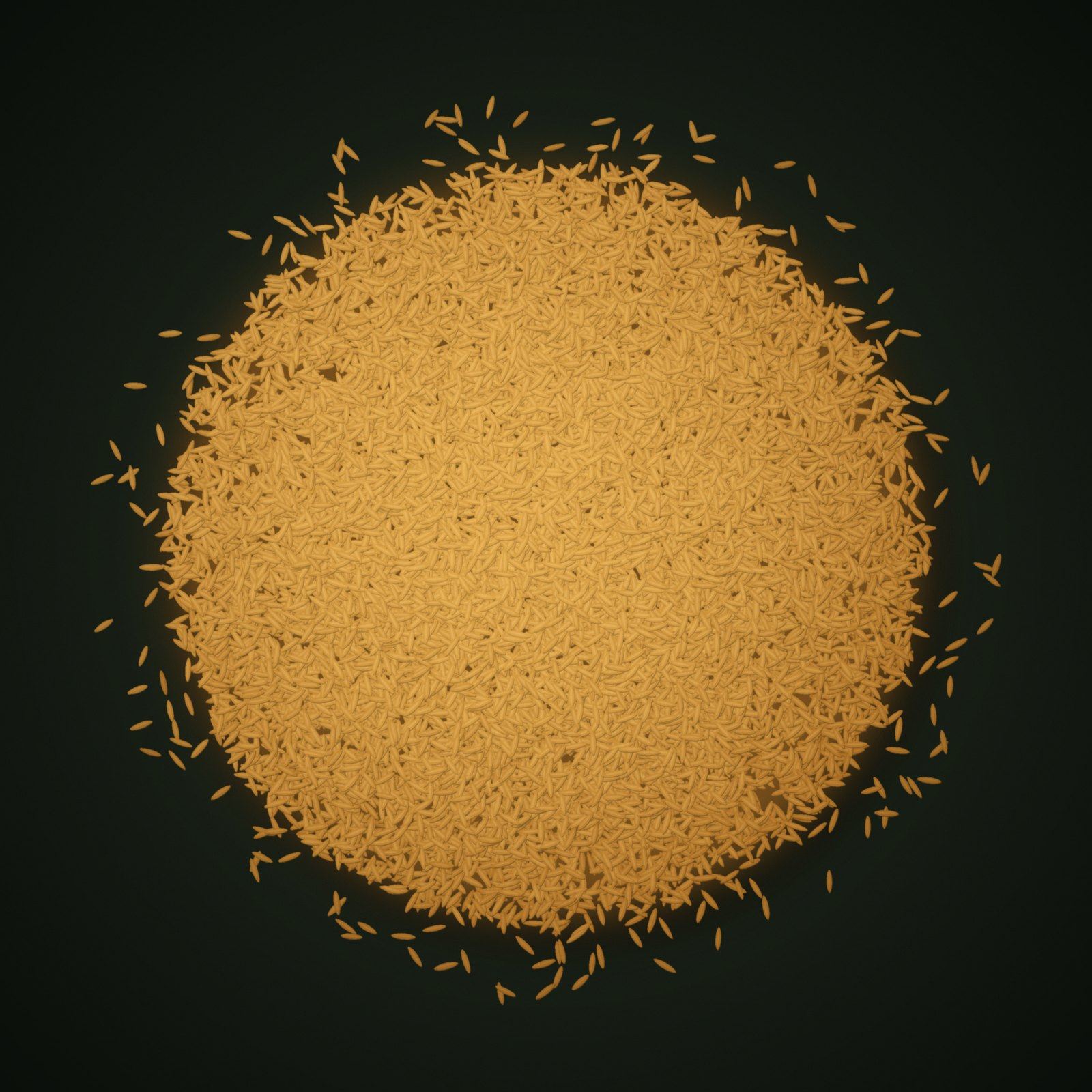 A heap of Sugandha Rice grains